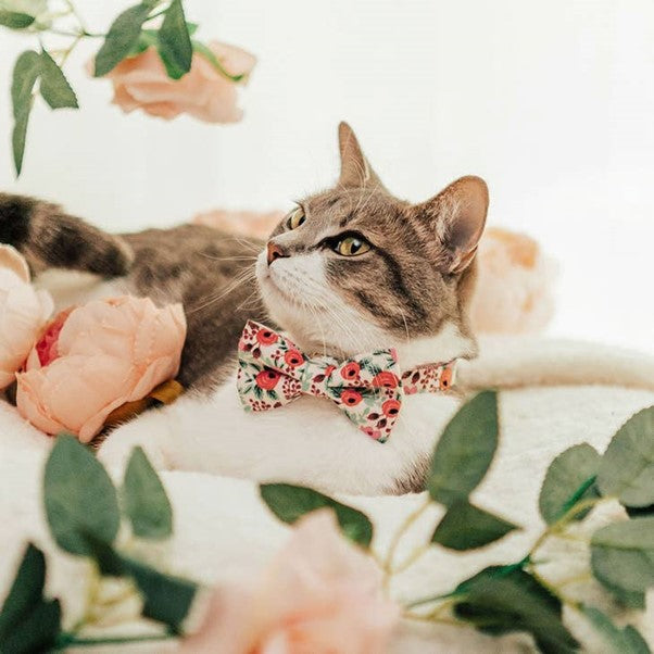 Made By Cleo | "Juliet" Bow Tie for Cats