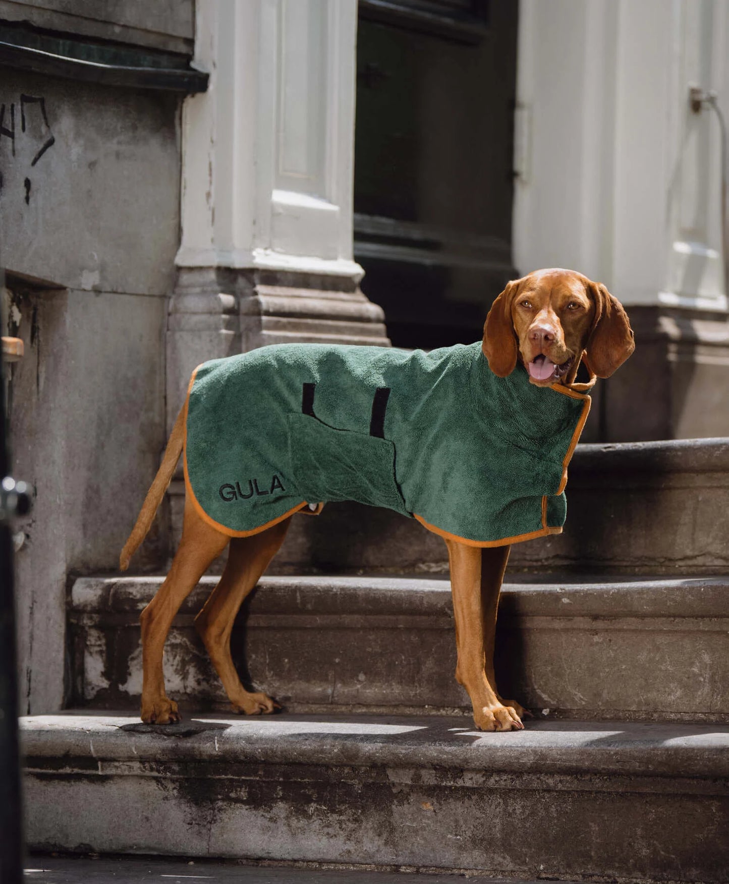 GULA | Dog Bathrobe