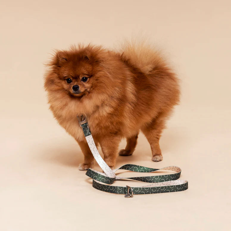 Dog Lead, Sabine with small dog 