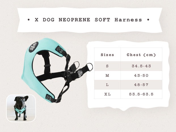 Dog's Life | Dog Harness - Soft Neoprene (Black)