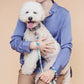 Für Sie | "Frans" Stylish Dog Leash