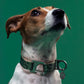 Für Sie | "Sabine" Stylish Dog Collar