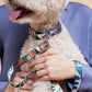 Für Sie | "Frans" Stylish Dog Leash
