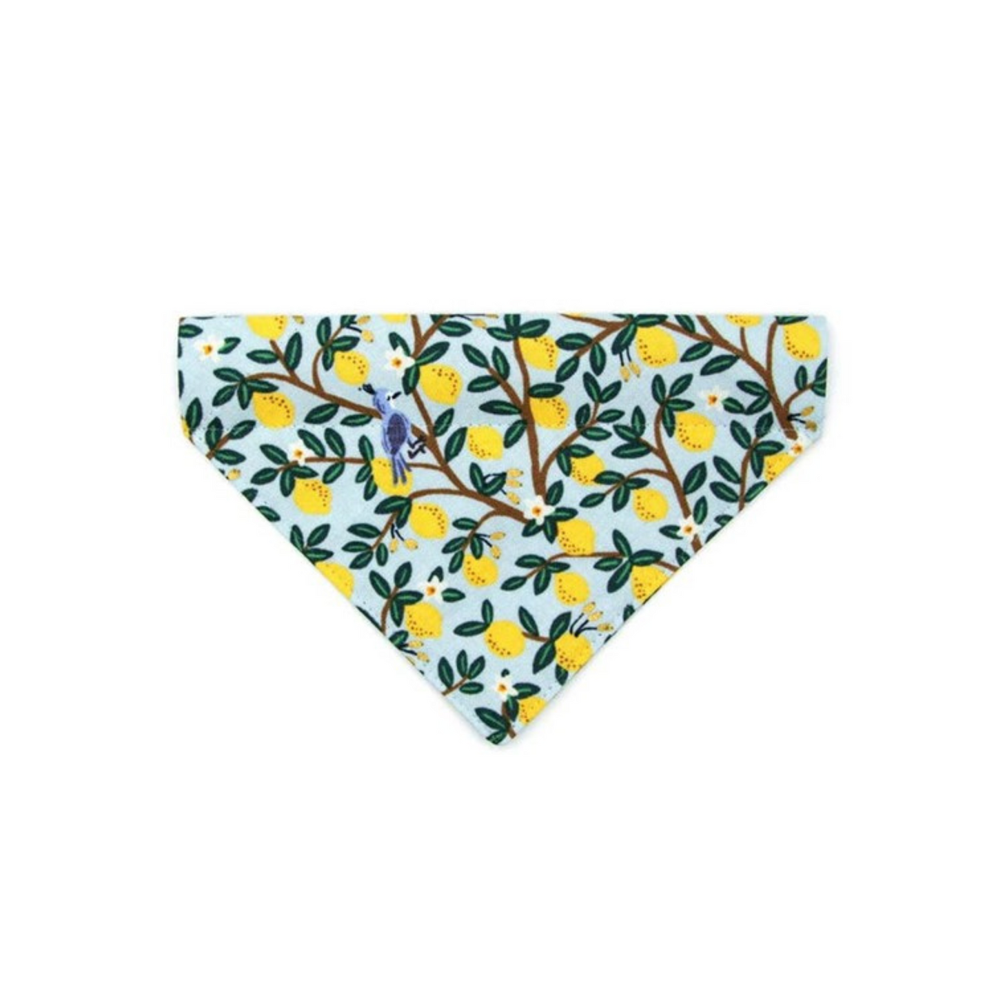 Made By Cleo | "Lemon Drops" Bandana for Cats